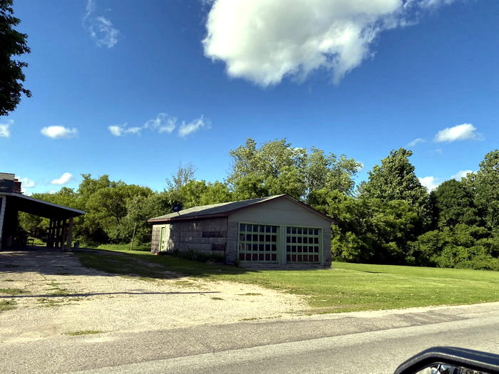 Spruce  - June 17 2022 Photo (newer photo)